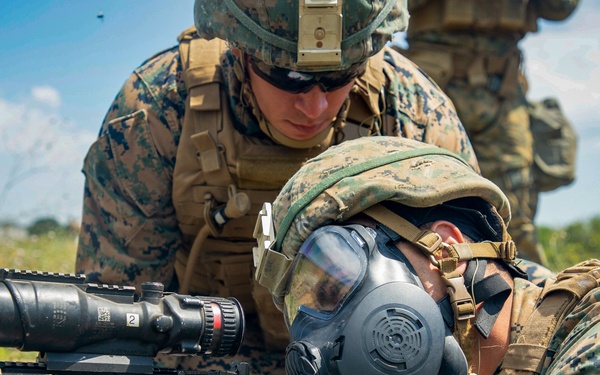 Platinum Lion: Dead Gunner Drills