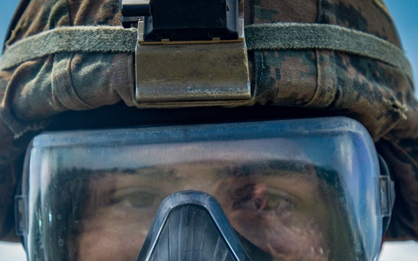 Platinum Lion: Dead Gunner Drills