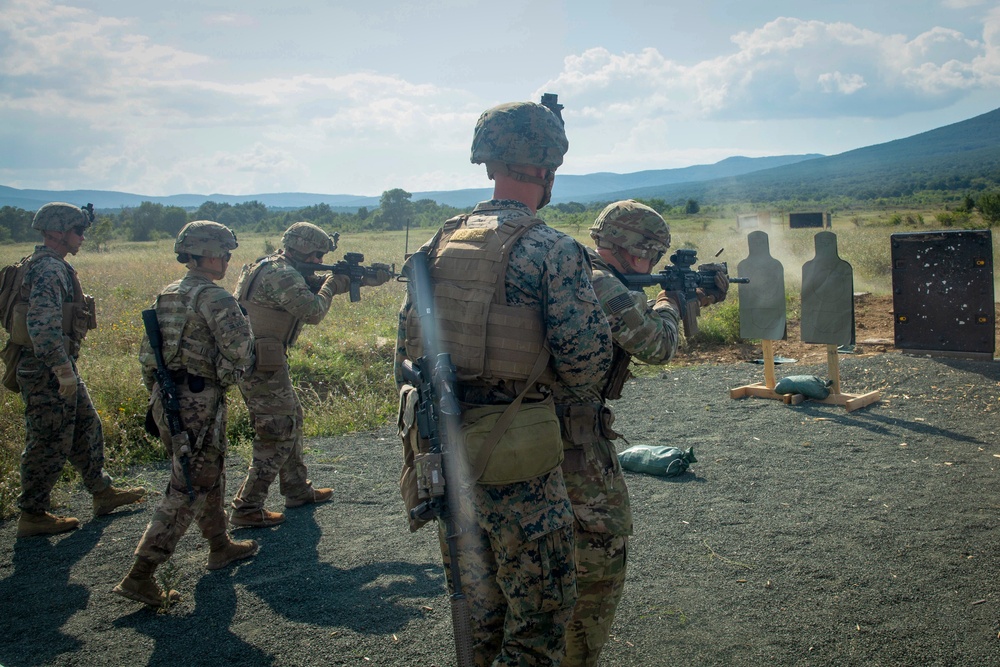 Advanced Combat Marksmanship Program