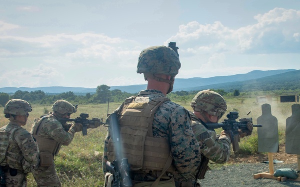 Advanced Combat Marksmanship Program