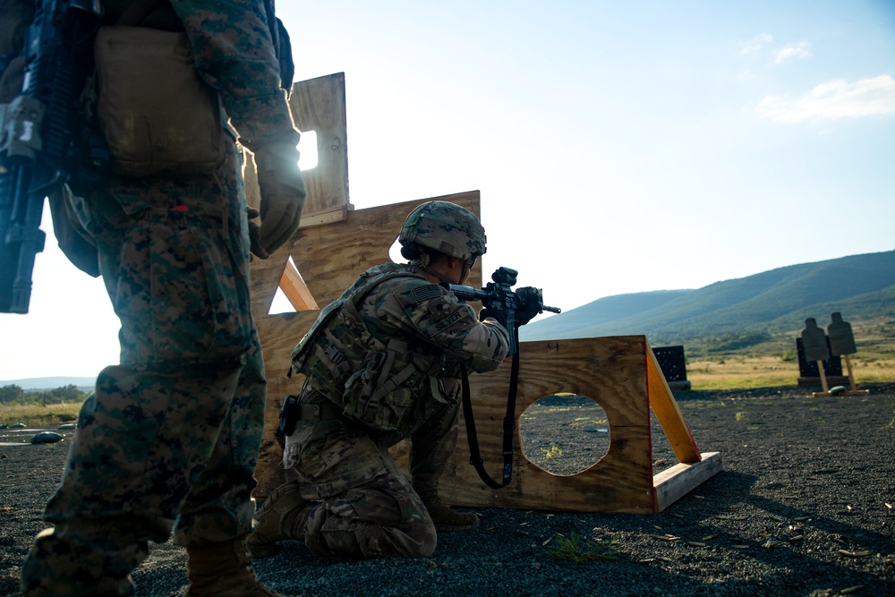 Advanced Combat Marksmanship Program