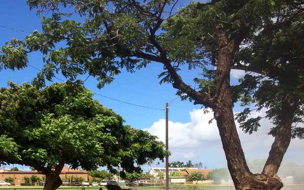 Tropic Care Maui County 2018: Molokai