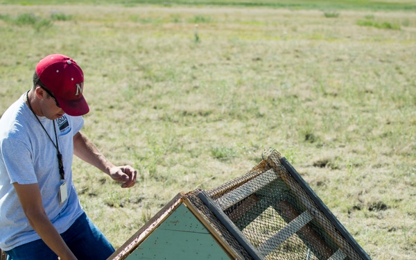 Keeping watch: Wildlife biologist surveys Peterson AFB for animals
