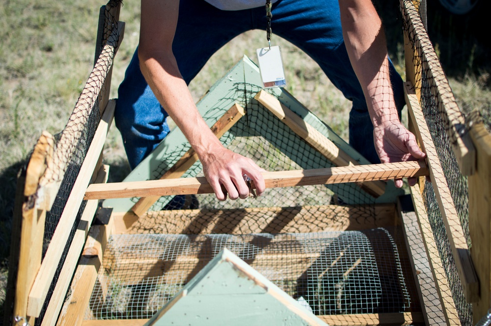 Keeping watch: Wildlife biologist surveys Peterson AFB for animals