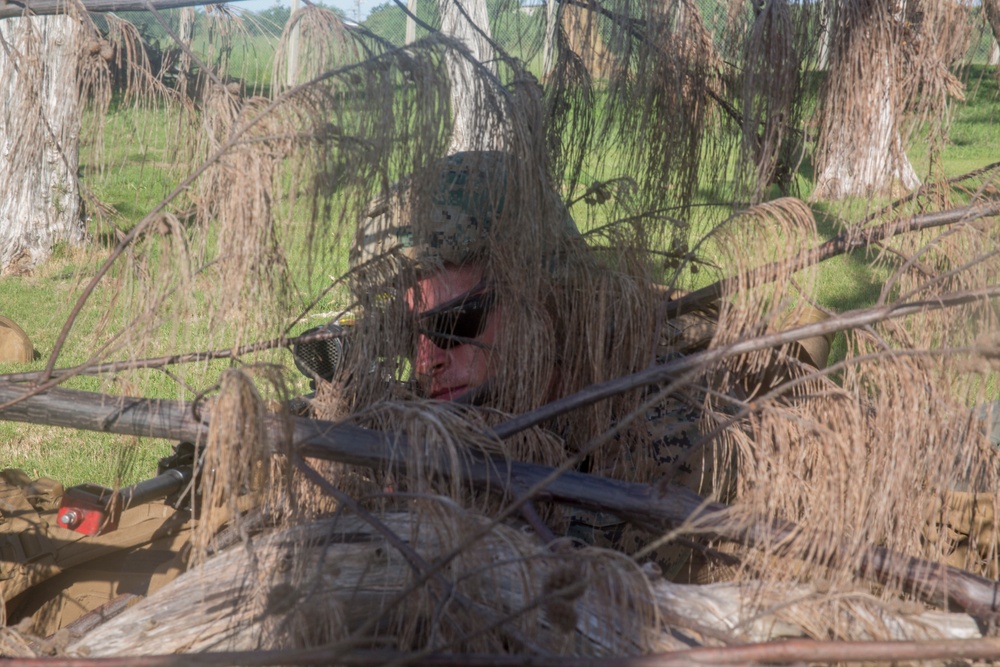 Fox Co Marines practice helicopter raid tactics