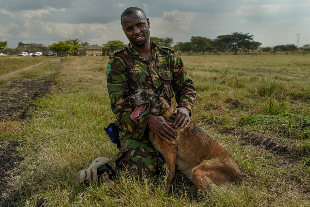 U.S. servicemembers, Kenya Defense Force conduct military working dog information exchange
