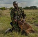 U.S. servicemembers, Kenya Defense Force conduct military working dog information exchange