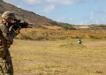Americas's Battalion fire the M27 IAR and M28 DMR
