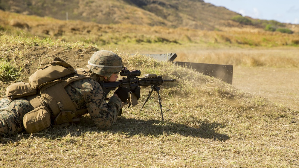 Americas's Battalion fire the M27 IAR and M28 DMR