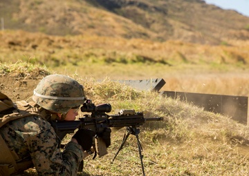 Americas's Battalion fire the M27 IAR and M28 DMR