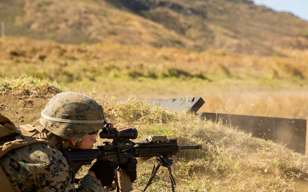 Americas's Battalion fire the M27 IAR and M28 DMR