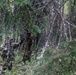 Spartans train in Alaska's forests