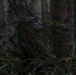 Spartans train in Alaska's forests