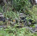 Spartans train in Alaska's forests