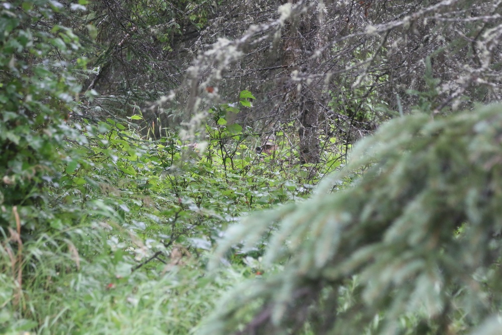 Spartans train in Alaska's forests