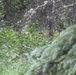 Spartans train in Alaska's forests