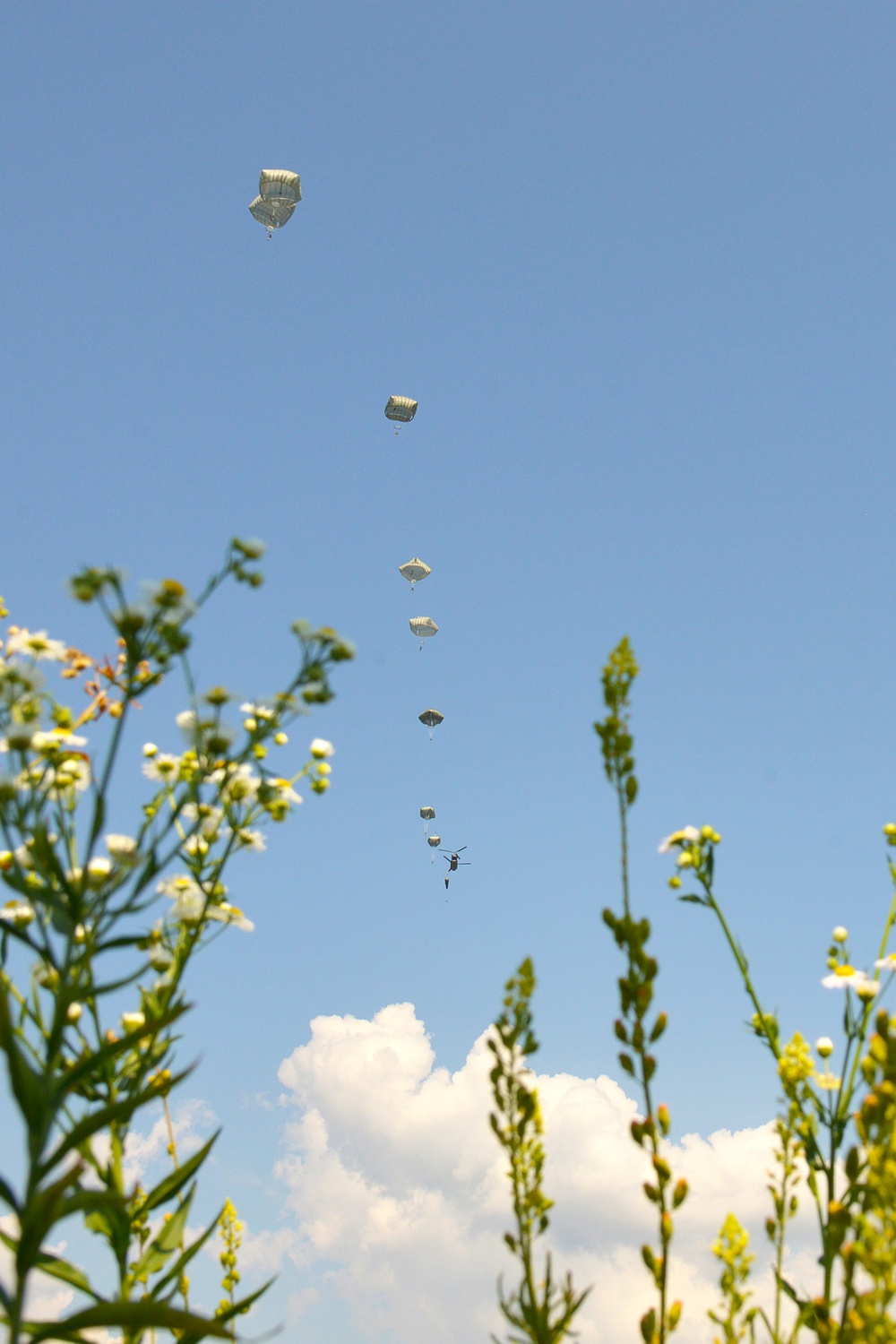 Airborne Operation,22 August, 2018, Pordenone, Italy