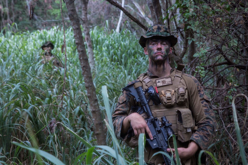 DVIDS - Images - Hawaii Sustainment Training Exercise [Image 4 of 4]