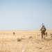 SPMAGTF-CR-CC Marines Conduct Day Patrols