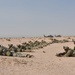 CNGB Visits Pennsylvania National Guard Soldiers at NTC