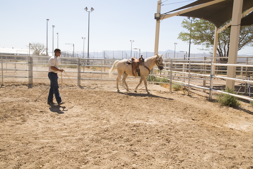 MCG Marine eyes Drill Instructor duty