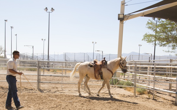 MCG Marine eyes Drill Instructor slot