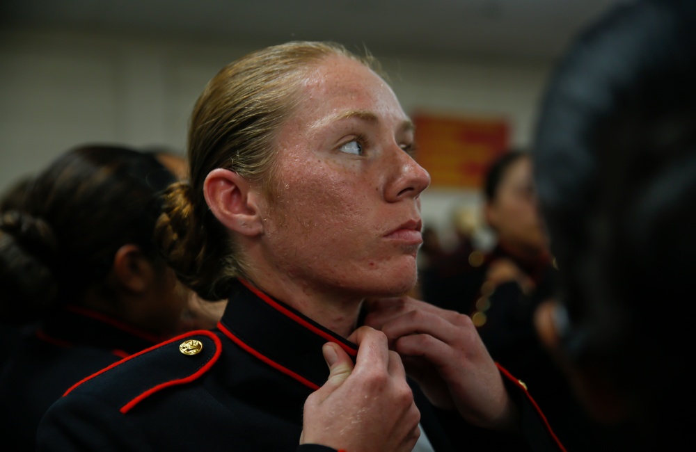 Papa Company Receives New Female Blue Dress Coat