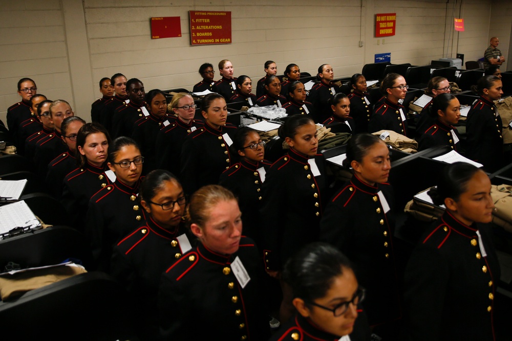 Papa Company Receives New Female Blue Dress Coat