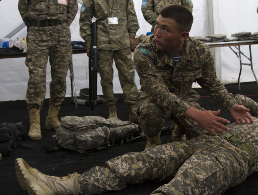 Steppe Eagle 18: Medic Training
