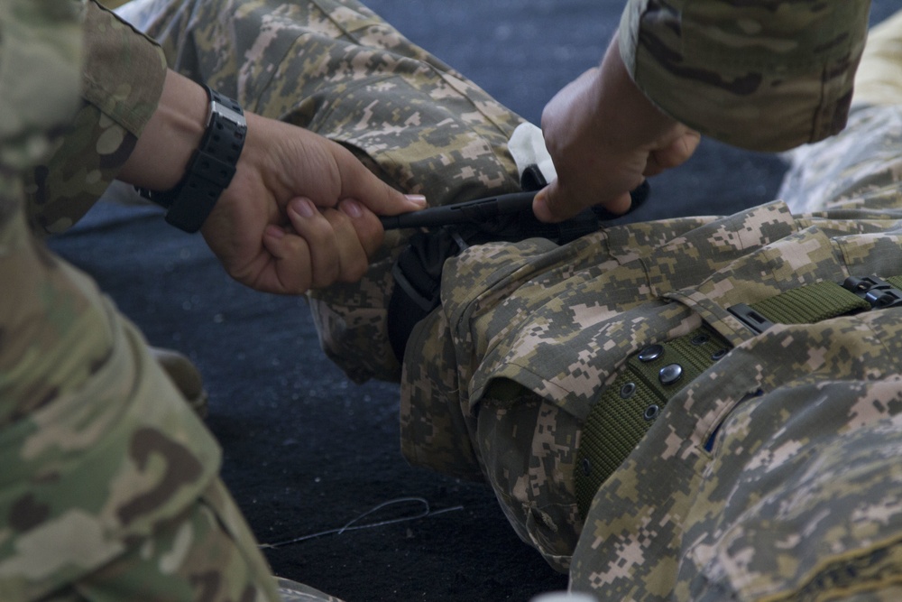 Steppe Eagle 18: Medic Training