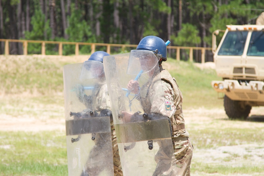 Steppe Eagle 18: Riot Control