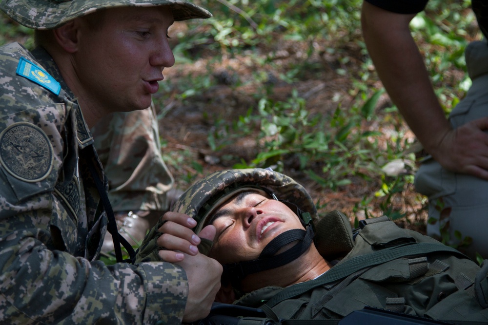 Steppe Eagle 18: Field Training Exercise