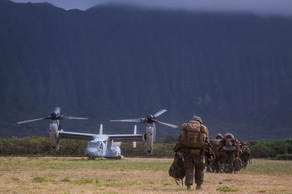 Hawaii Sustainment Training Exercise