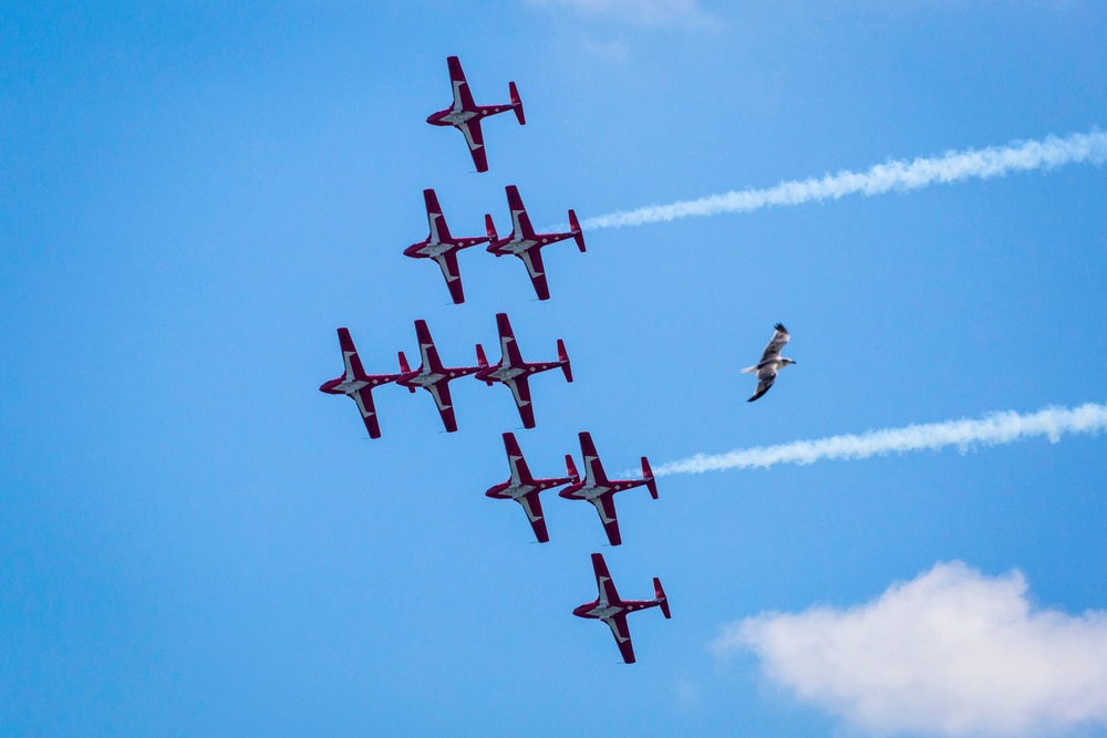 Snowbirds over Atlantic City