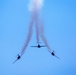 Snowbirds over Atlantic City