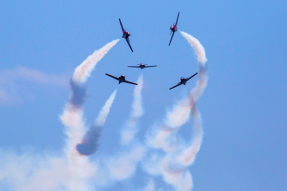 Snowbirds over Atlantic City