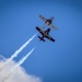 Snowbirds over Atlantic City