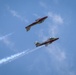 Snowbirds over Atlantic City