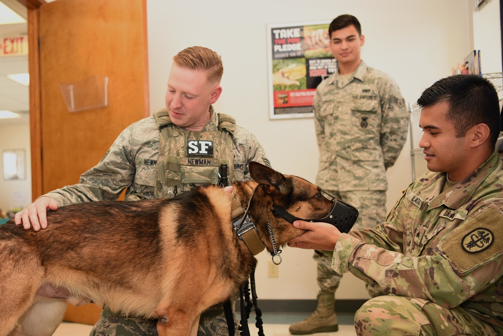 Vandenberg's working dog vet care