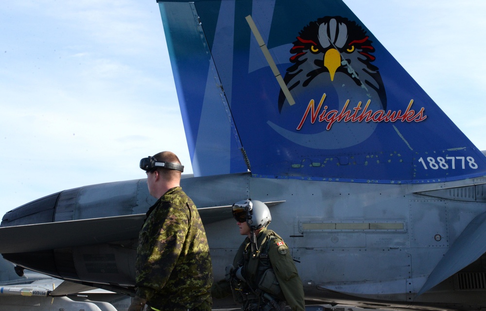 Royal Canadian Air Force trains U.S. Forces