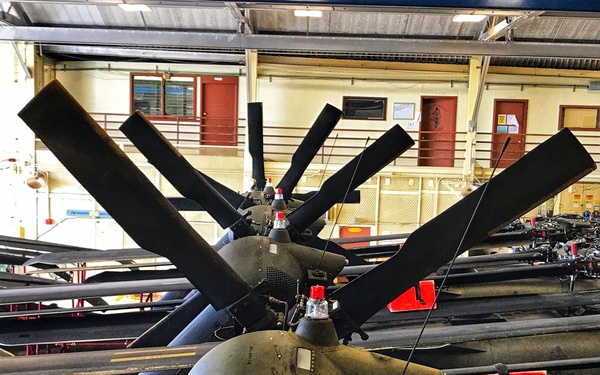 25th ID prepares for Hurricane Lane