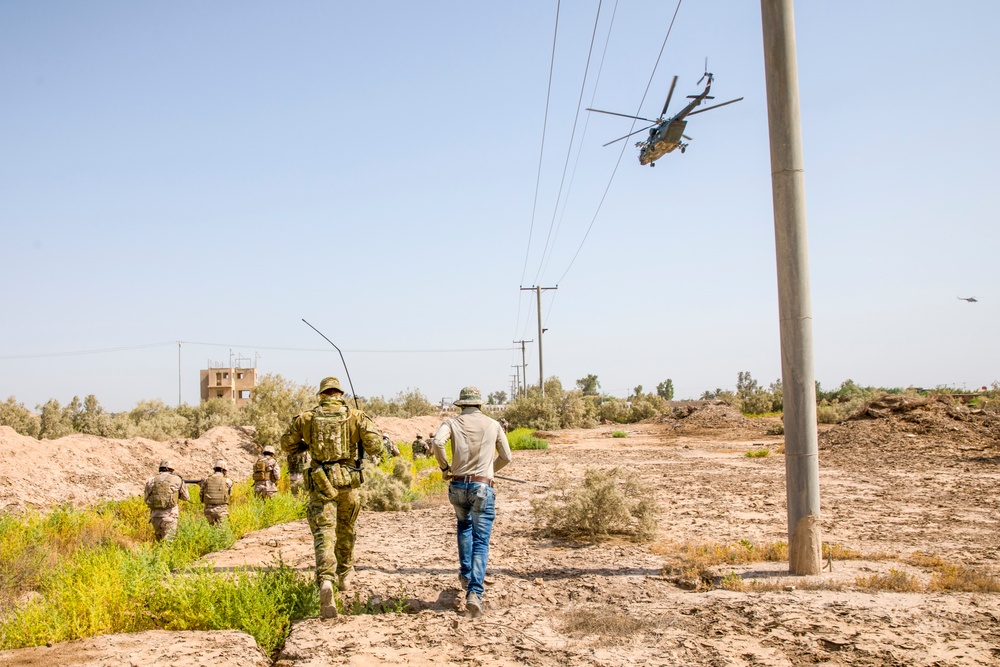 59BDE Confirmatory Activity