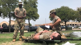 Life and Death Simulation