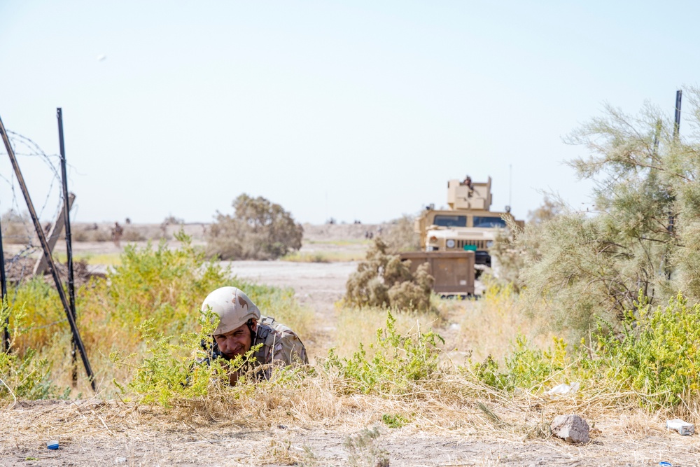 59BDE Confirmatory Activity