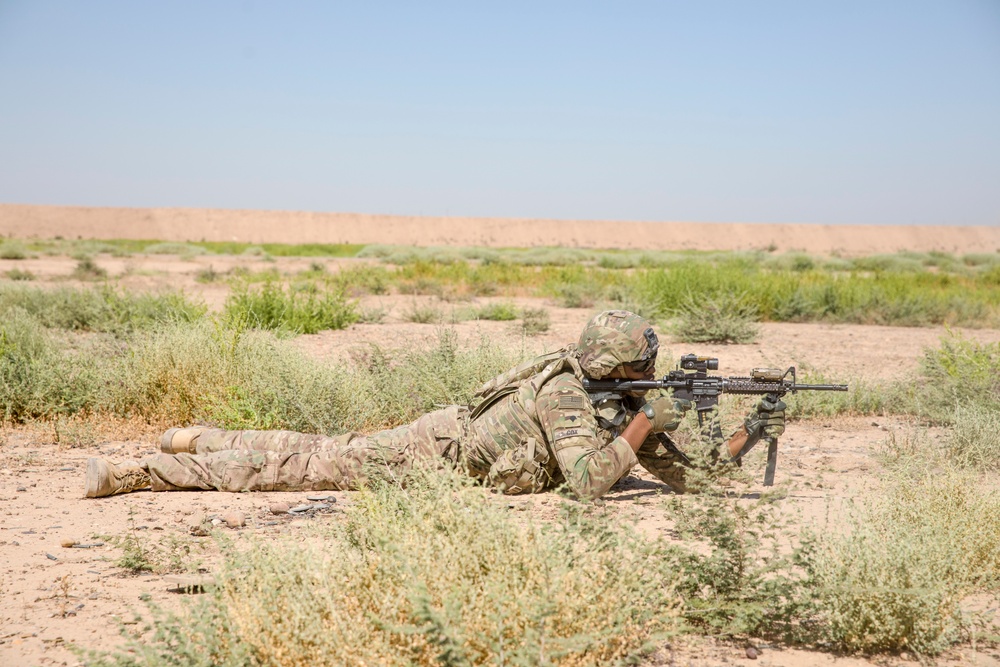 Coalition Live Fire Exercise