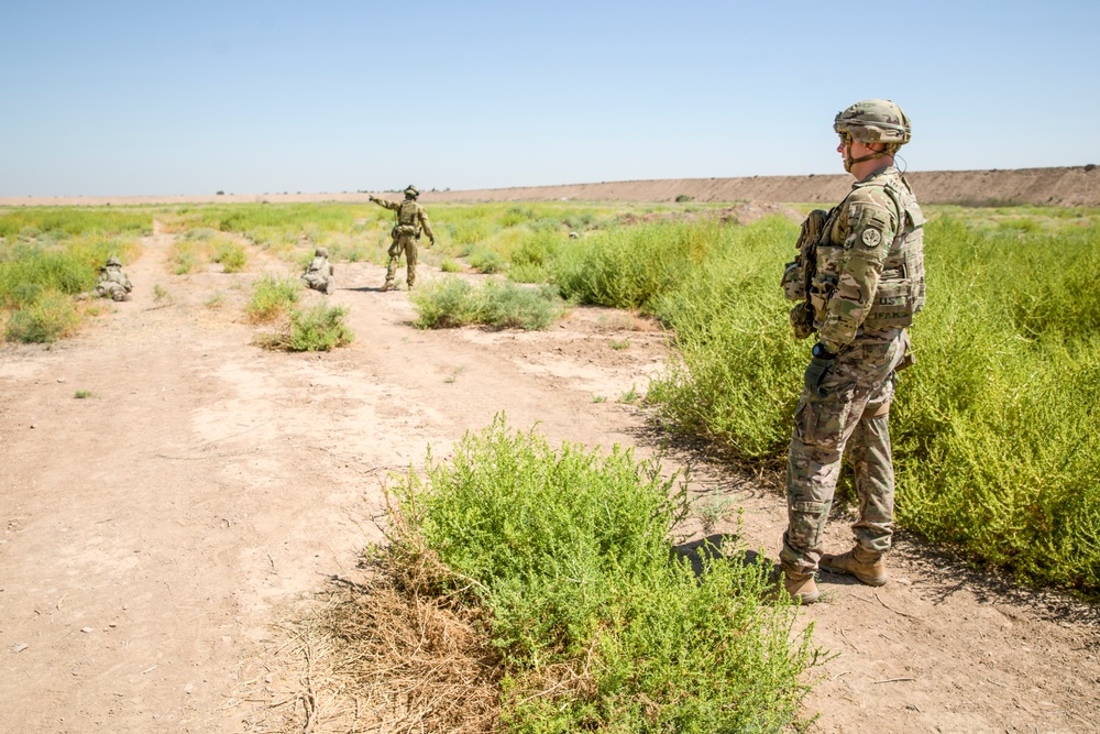 Coalition Live Fire Exercise