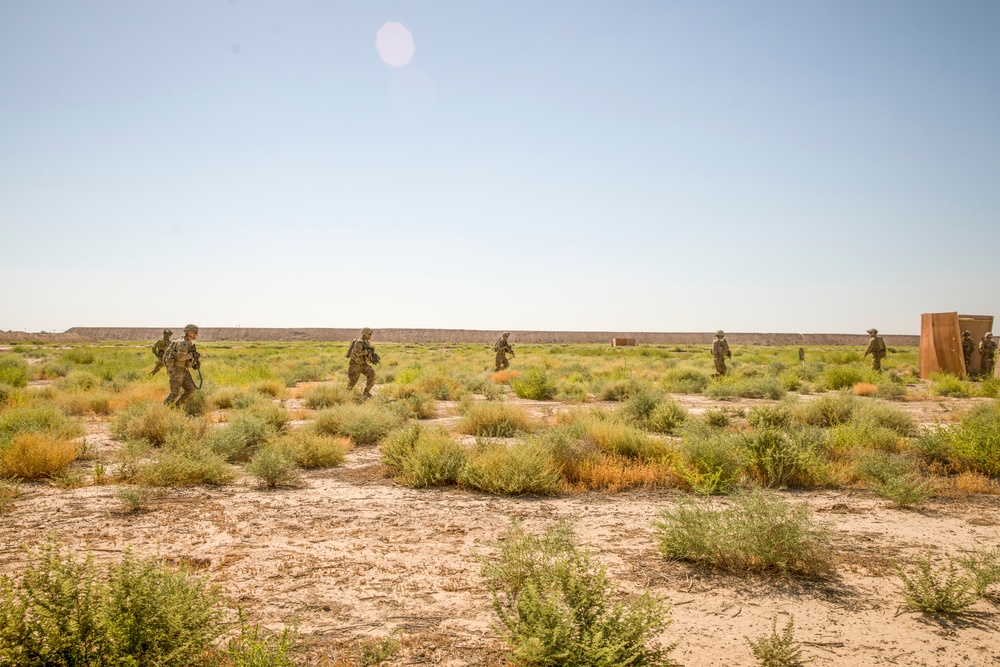 Coalition Live Fire Exercise