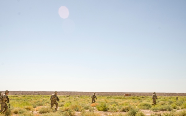 Coalition Live Fire Exercise