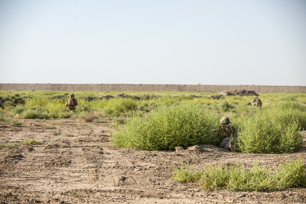 Coalition Live Fire Exercise