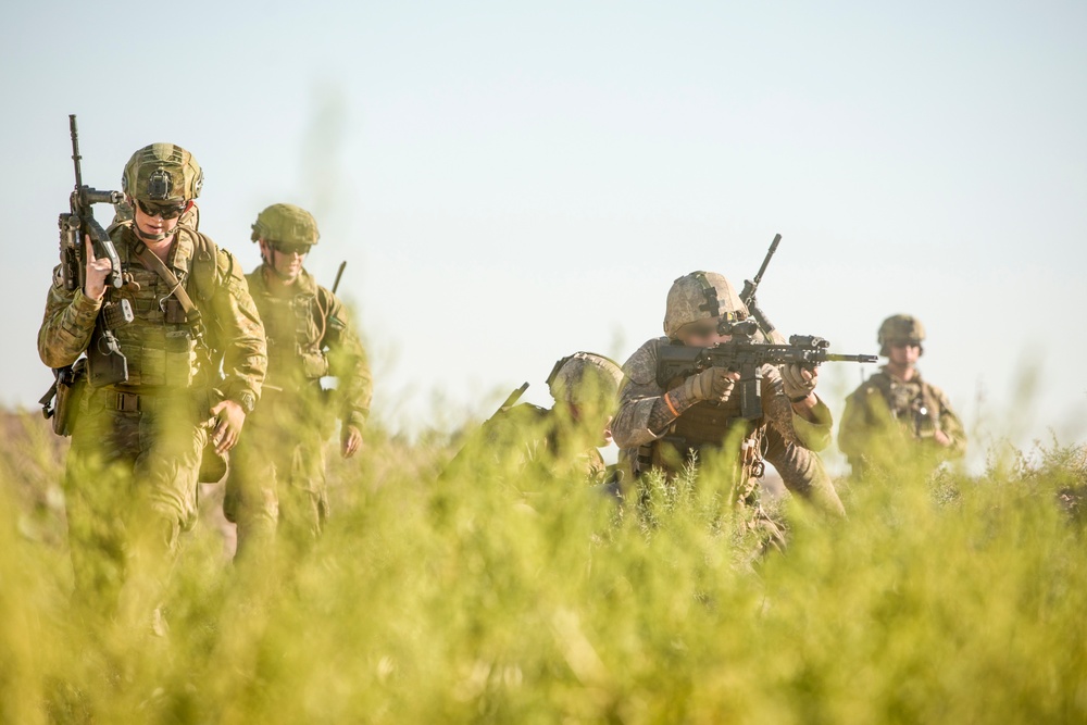 Coalition Live Fire Exercise